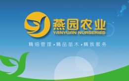 今年的苗木訂單怎么采...要精品還得選燕園