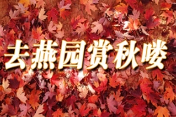 秋色可賞，相約燕園看彩葉；秋果可品，同去果園摘蘋果！