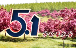 光榮的勞動者，美好的五一節！