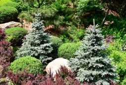 城市園林建設下，看這所植物園的精妙之處
