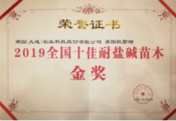 【賀】美國秋紫蠟獲“十佳耐鹽堿苗木”金獎