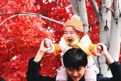 哈工程的紅楓已經紅到CCTV央視網了……
