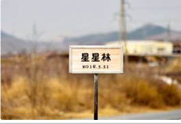多彩燕園迎來星星林