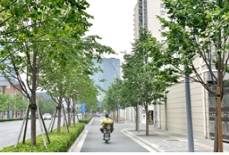 上海金桐力大道，就在閘北區萬榮路！