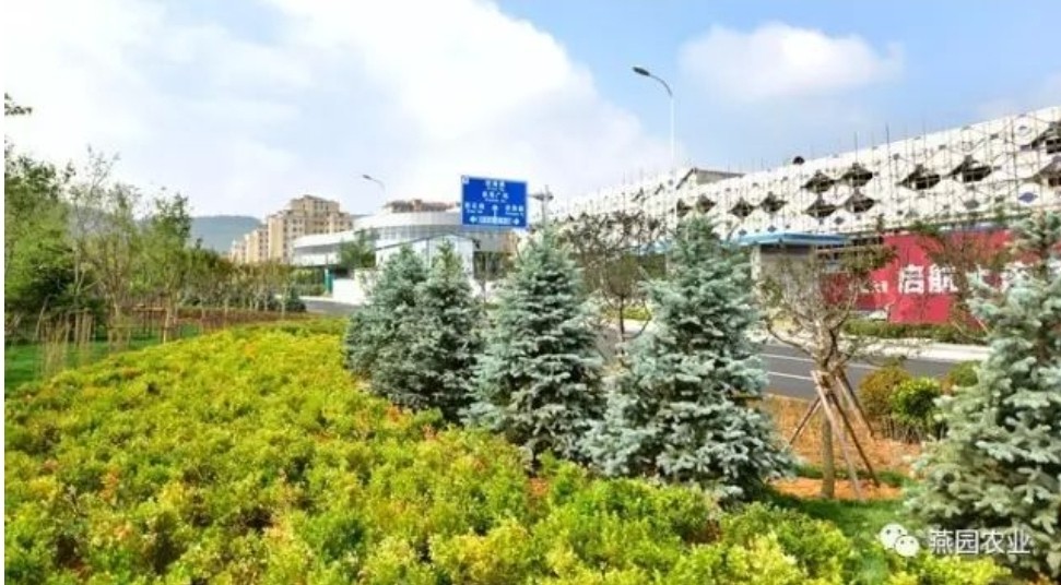 ΢Ž؈D_20240731193710.jpg