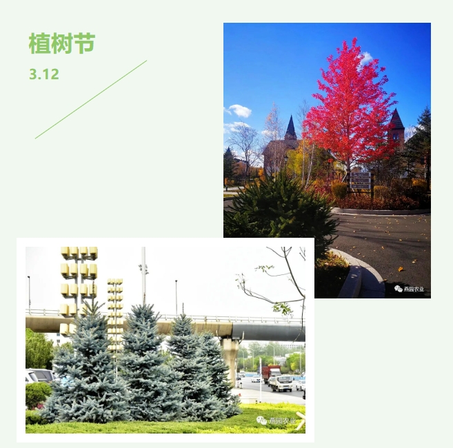 微信截圖_20240809103803.jpg