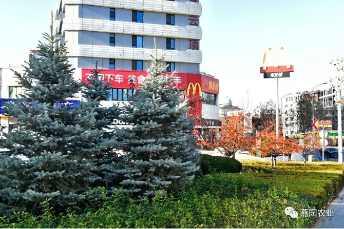微信截圖_20240812120051.jpg