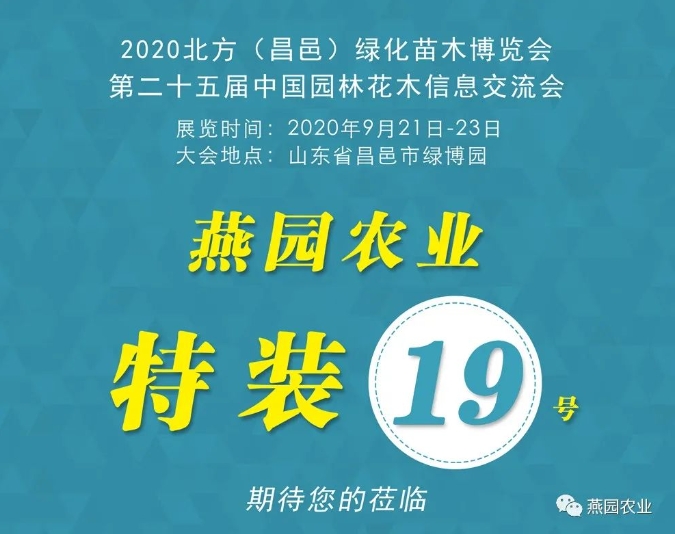 微信截圖_20240812180631.jpg