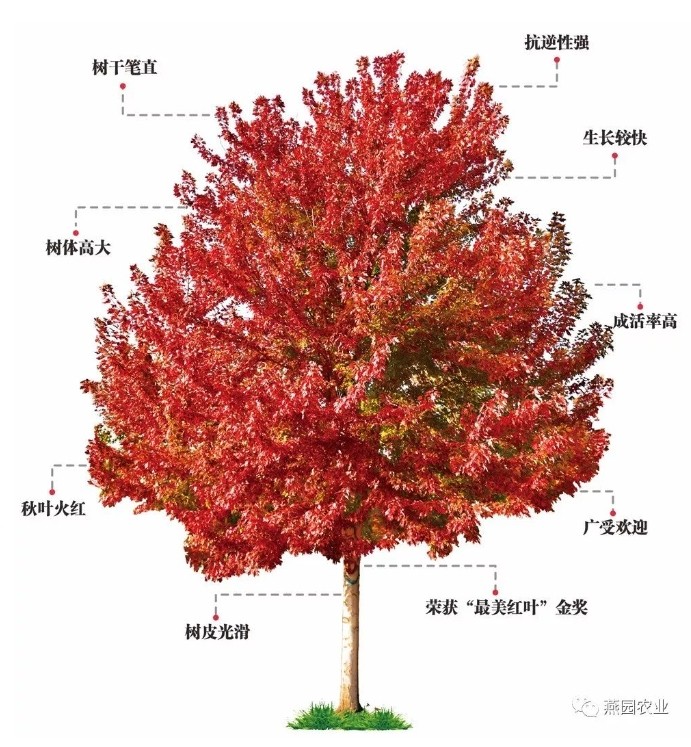 微信截圖_20240823171621.jpg