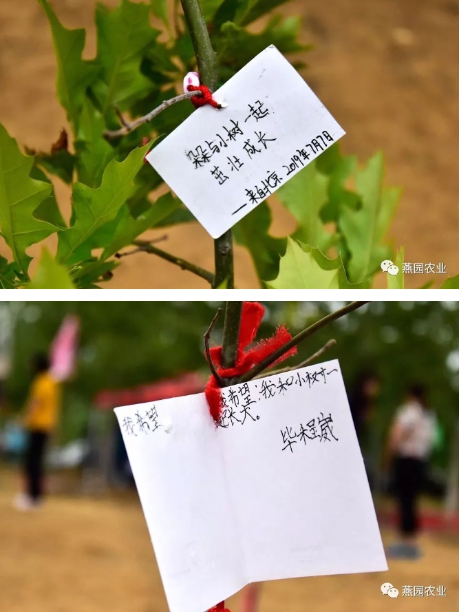 微信截圖_20240823180229.jpg