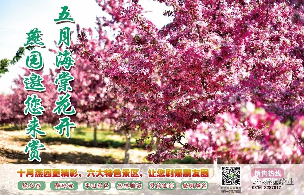 微信圖片_20240826134320.jpg