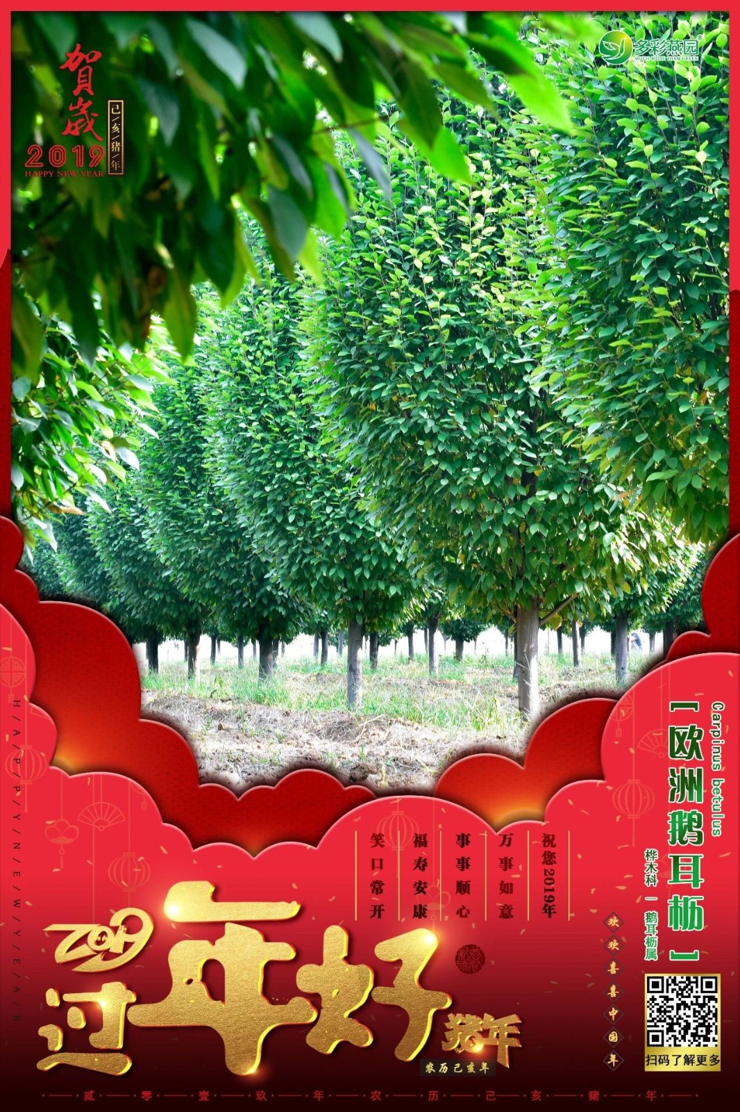微信圖片_20240902125327.jpg