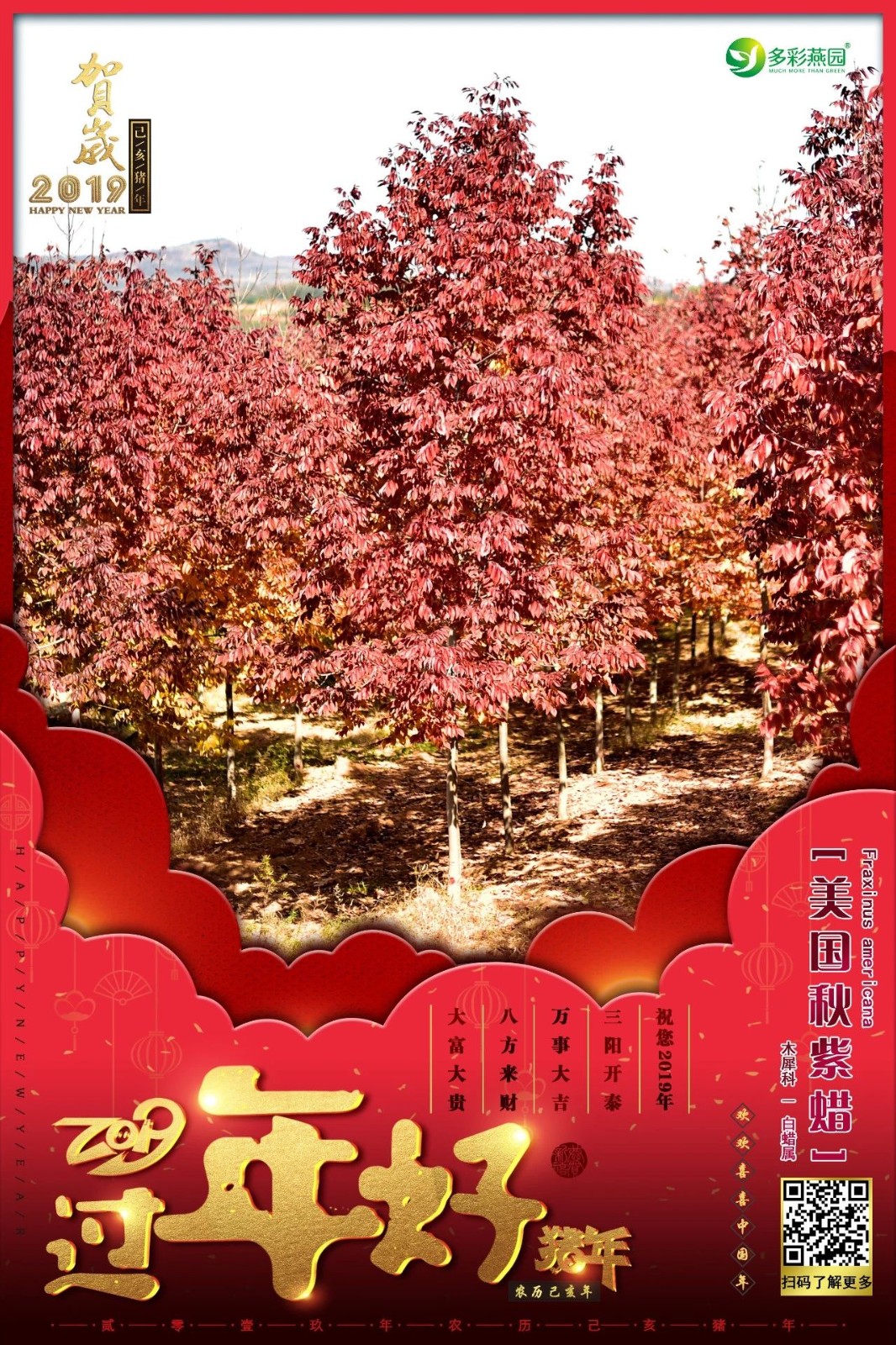 微信圖片_20240902125344.jpg
