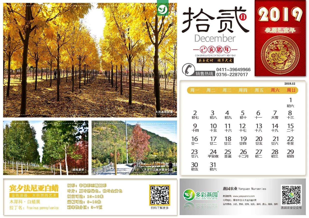 微信圖片_20240902125728.jpg