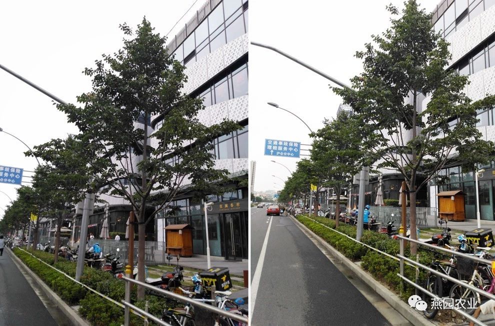 微信圖片_20240902143908.jpg
