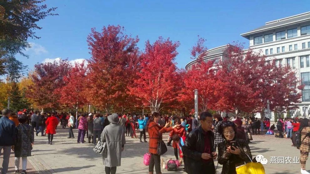 微信圖片_20240902152308.jpg