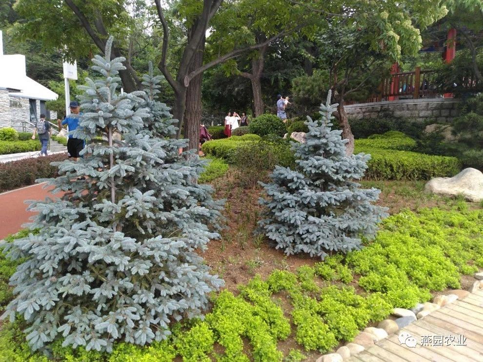 微信圖片_20240905130329.jpg